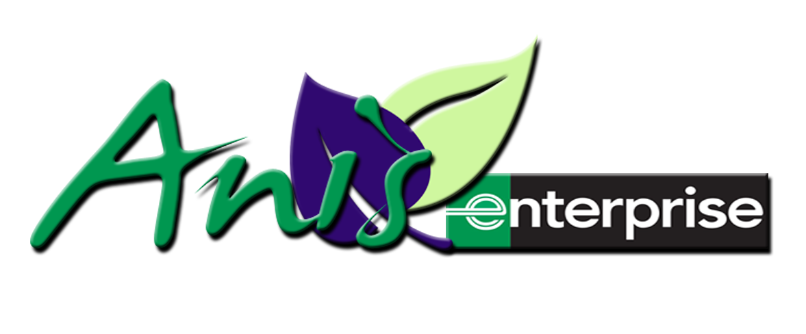Anis Enterprise